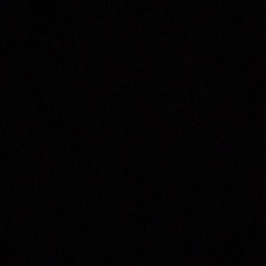 Meet your Posher, Bridget